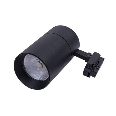 Blaupunkt Reflektor LED 1-fazowy Vision 30W czarny z przełącznikiem barwy światła
