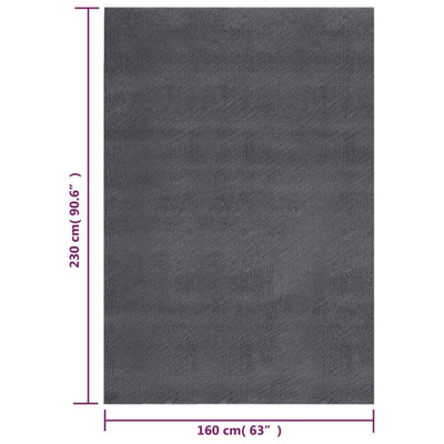 vidaXL Dywan z krótkim włosiem i możliwością prania 160x230cm antracyt