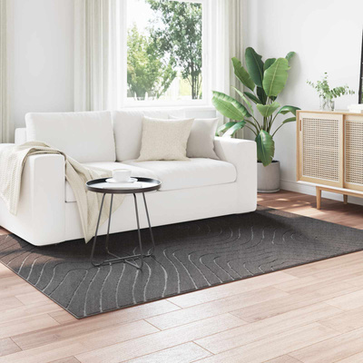 Dywany pokojowe PALMERAS Antracyt 230 x 160 cm Poliester