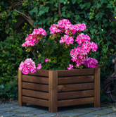 Donica drewniana ciemny brąz W25/S38/D38/2