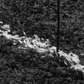 vidaXL Dywan z długim włosiem PAMPLONA, czarno-kremowy, Ø 240 cm