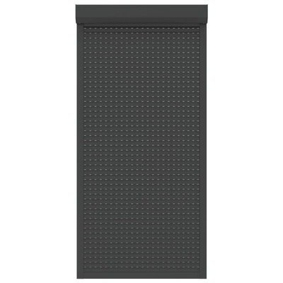 vidaXL Roleta zewnętrzna, aluminiowa, 100 x 210 cm, antracytowa
