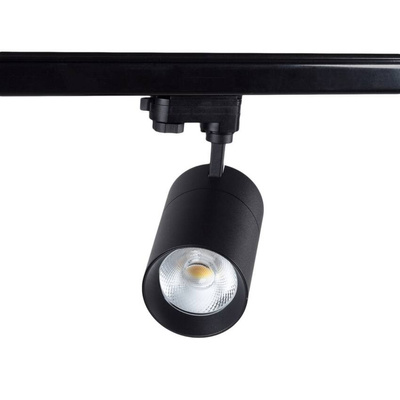 Blaupunkt Reflektor LED 1-fazowy Vision 30W czarny z przełącznikiem barwy światła