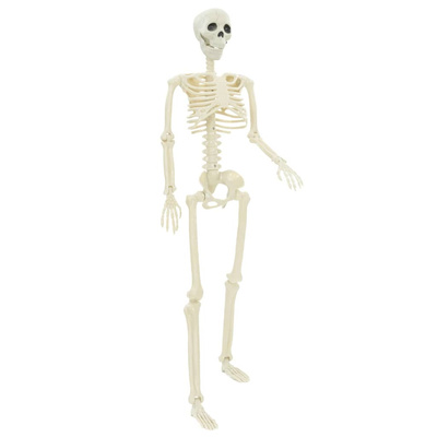 Szkielet Halloweenowy 2 pcs Biały 85 cm PVC
