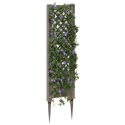 Trellis z gwoździem Szary 43 x 6 x 165 cm PP