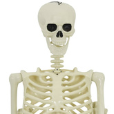 Dekoracja Halloween Szkielet 2 pcs Biały polipropylen
