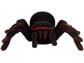 Zdalnie Sterowany Pająk Tarantula Czarny R/C