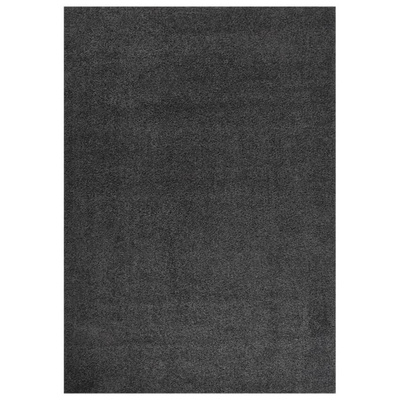 vidaXL Dywan shaggy z wysokim włosiem, antracytowy, 120x170 cm