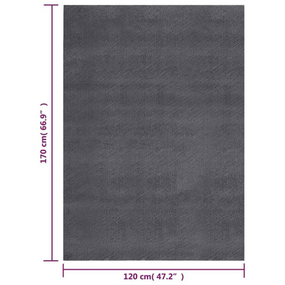 vidaXL Dywan z krótkim włosiem i możliwością prania 120x170cm antracyt