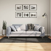vidaXL Dywan ISTAN z długim runem, połyskujący, antracytowy 100x200 cm