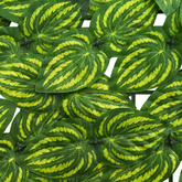 Parawan balkonowy z liśćmi Zielony i Żółty 300 x 150 cm