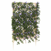 Trellis z gwoździem Biały 99 x 6 x 165 cm PP