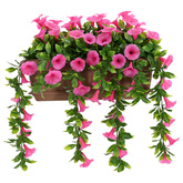 Sztuczne Kwiaty Purpurowy czerwony 55 x 20 x 55 cm PE i stal