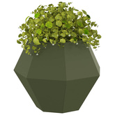 Donica 2 pcs Zielony oliwkowy 50 x 50 x 40 cm Stal