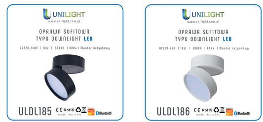 OPRAWA SUFITOWA TUBA DOWNLIGHT URBAN SMART SCIEMNIALNA