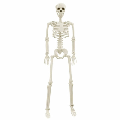 Szkielet Halloweenowy 2 pcs Biały 85 cm PVC