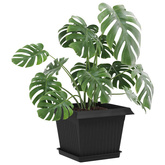 Kwadratowa Taca na Kwiaty 24 pcs Czarny 18 x 18 x 2 cm