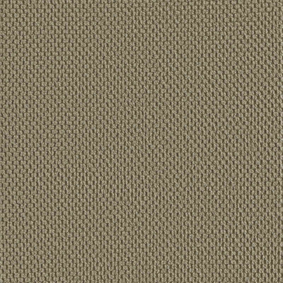 Fotel Khaki Welur
