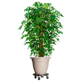 vidaXL Podstawki pod donicę, z kółkami, 2 szt., 40 cm, czarne, 275 kg