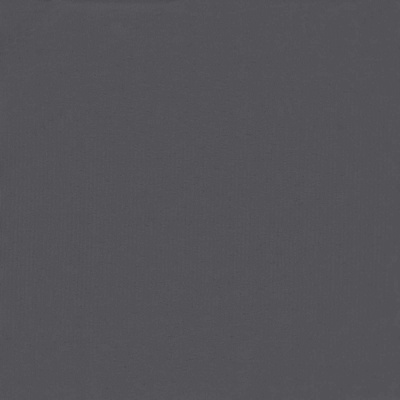 Ekran balkonowy Antracyt 75 x 200 cm