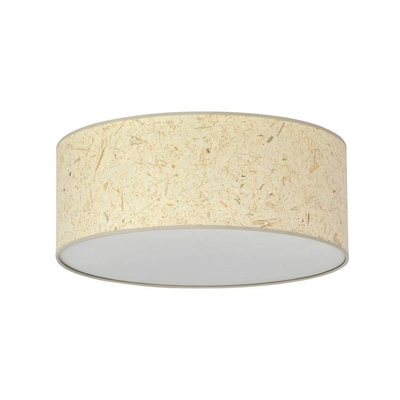 Lampa sufitowa  ASTON 3 CORK