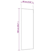 vidaXL Lustro na drzwi, czarne, 40x100 cm, szkło i aluminium
