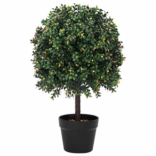 Kula Boxwood Zielony 35 x 35 x 50 cm Z tworzywa sztucznego