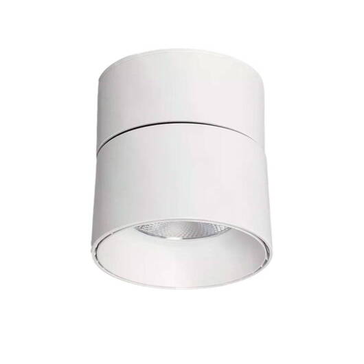 Lampa punktowa Biała 30W Spot LED 2700-3200K Abruzzo Romeo