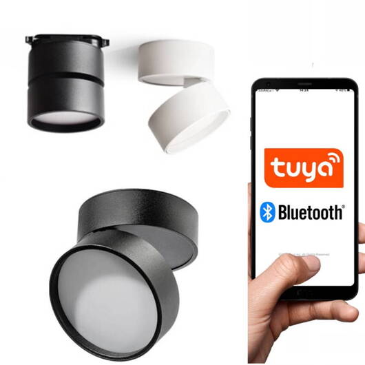 OPRAWA SUFITOWA TUBA DOWNLIGHT URBAN SMART SCIEMNIALNA