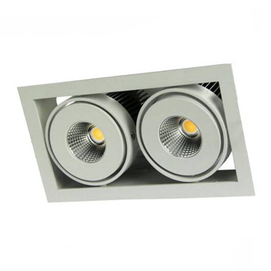 Oprawa sufitowa Downlight - Neutralna barwa - 2x10W